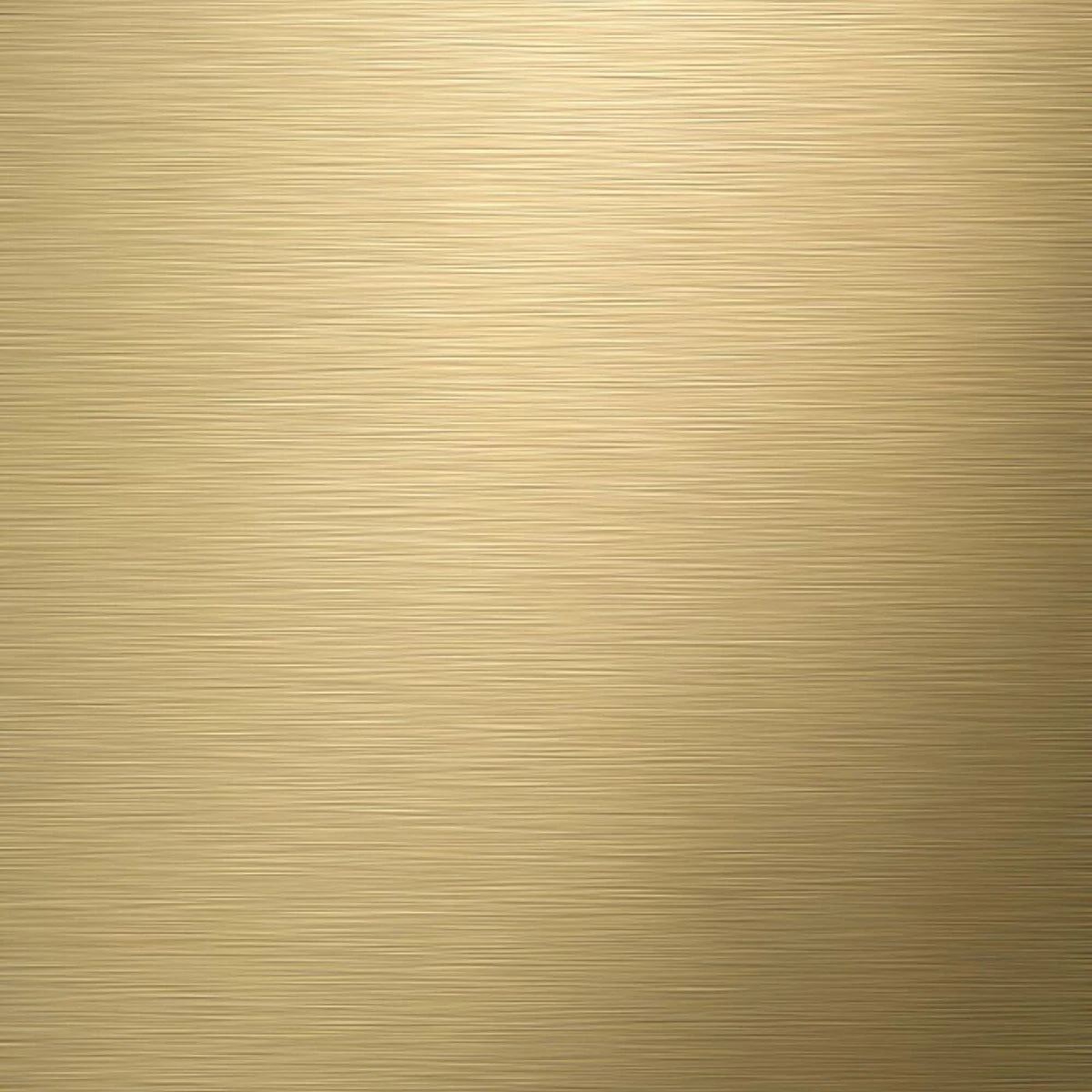 Tiger Tune - Toiletborstel Met Houder Vrijstaand - Messing Geborsteld / Zwart - Afbeelding 6