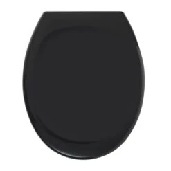 Tiger Mason Wc Bril Zwart Met Softclose En Quick Release